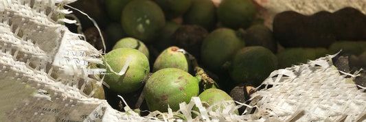 frutos de cacay, ingrediente del aceite facial de cacay de los cosméticos antiedad para pieles madurasde Mila Bonis Cosmética Natural